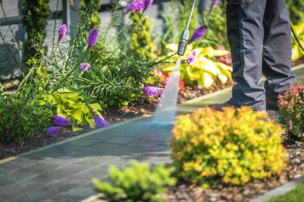 Best Fence Cleaning and Maintenance in Forest Oaks, NC